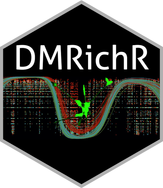 DMRichR