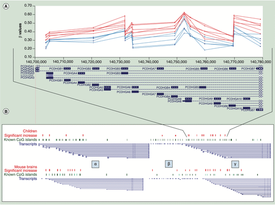 Environmental Impacts on the Epigenome