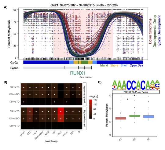 Genetic Impacts on the Epigenome