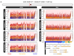 Multi-omic brain and behavioral correlates of cell-free fetal DNA methylation in macaque maternal obesity models